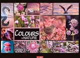 Colours of Nature Kalender 2027: Großer Foto-Wandkalender im Querformat 68 x 49 cm. Natur-Kalender 2027 mit harmonischen Bild- und Farbkompositionen für jeden Monat.