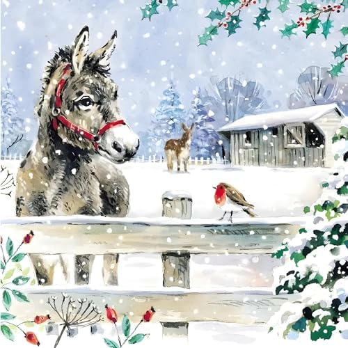 GBCC Charity Christmas Cards Pack of 10 - Festive Donkeys & Robin in ...