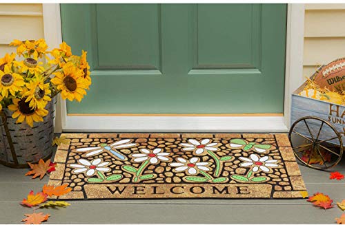 Chichic Door Mat, Welcome Mat 17X 30 Inch Front Door Mat Outdoors For Home Entrance Outdoors Mat For Outside Entry Way Doormat Entry Rugs, Heavy Duty Non Slip Rubber Back Low Profile, Dragonfly #TOP4