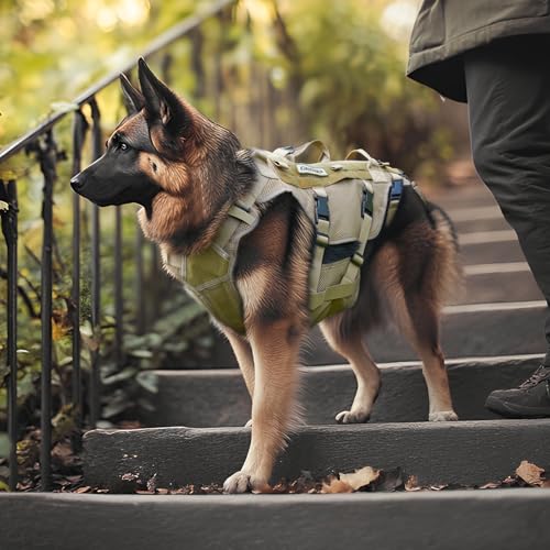 DAISTERN Hundegeschirr Unterstützung Geschirr, Hebegeschirr für Mittelgroße Große Hunde, Sicherheitsgeschirr mit 3 Griffen, Abnehmbare verstellbare Schultergurte und hintere Beingurte
