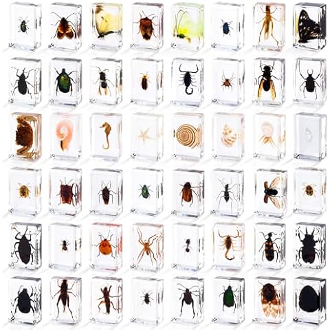 48 Styles Insect in Resin Specimen, Bugs Collection Paperweights Animal Specimen for Kids Bug Preserved in Resin for Scientific Education Office Desk Christmas Display Supplies Cover