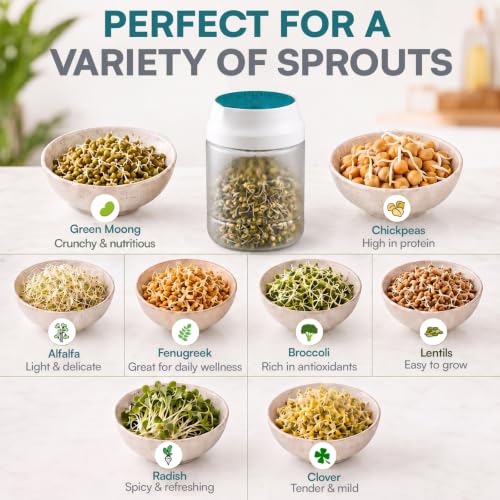 Image of GO STORE Sprout Maker Jar 1100 ml | Seed Sprouting Jar with Mesh Drain Lid & Stand | Sprouts Maker for Moong, Chana, Methi, Lentils, Beans & Seeds