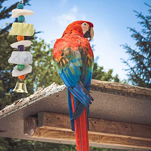 Balacoo Bico Do Papagaio Brinquedo Gaiola de Cálcio Pedra Guarnição Periquitos Contas Ranger Os Dent