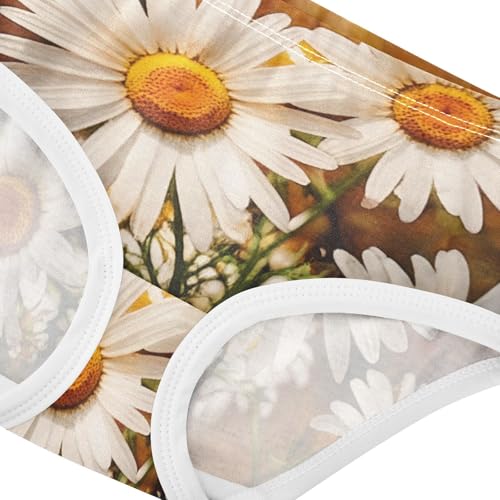 Vintage White Daisies Girls Underwear Toddler 2t Cotton Girl Panties Cute Durable Briefs Underpants4