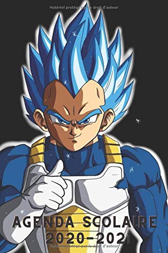 Télécharger Agenda Manga Dragon Ball 2020/2021: Agenda scolaire 2020-2021 Collège & Lycée, Septembre 2020 à S Francais PDF