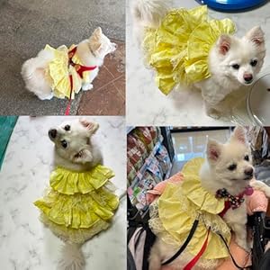   FIONAS-CLOSET-Dog-and-Cat-Clothes-Sleeveless-Dress-Breathable-Lace-CottonYellow-X-Large