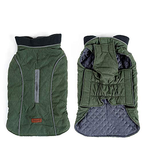 Veste pour chien contre le froid : gilet chaud style rétro chic