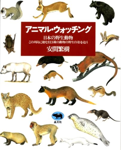 アニマル ウォッチング 日本の野生動物 安間 繁樹 本 通販 Amazon
