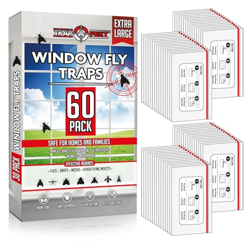 Transparent fly trap