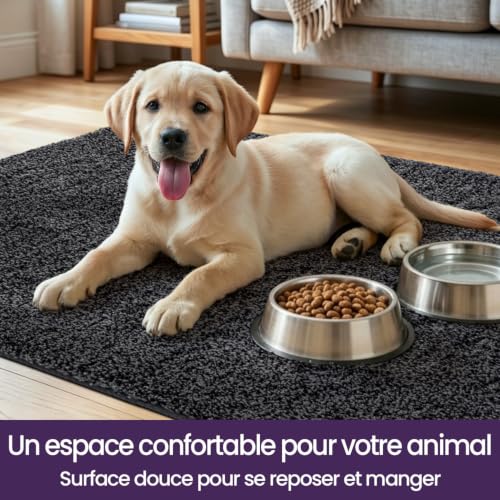 Paillasson interieur entree absorbant DEXI tapis de sol lavable machine - 7