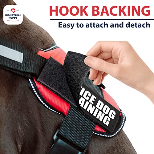 Industrial Puppy Hook Patches For Harness - Service Dog, Emotional Support, In Training, Service Dog In Training, And Therapy Dog Patches #TOP4