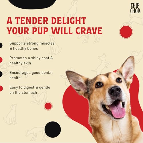 Image of Chip Chops Sun Dried Chicken Jerky Dog Treat, Easily Digestible, Healthy Dog Treat, Perfect for Snacks, Suitable for All Dog Breeds, (Pack of 2) Each 70gm