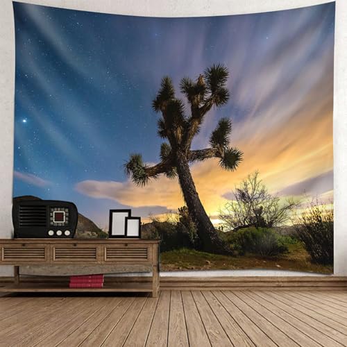 Tenture Murale Ciel Étoilé Tapisserie Paysage 240x220cm pour Salon
