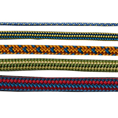 Tendon , Farbe-Tendon:variiert Cover