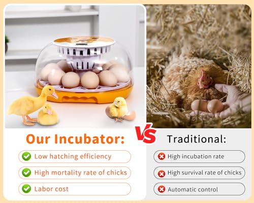 Incubadora de ovos, incubadora de 12 ovos com rotação automática de ovos, controle automático de tem