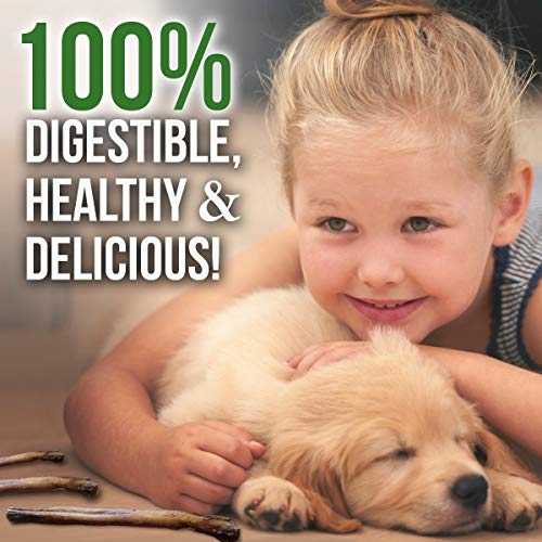 Bullysticks Organic Standard 6" Bully Sticks For Dogs - All Natural Dog Treat, These Chews Are Free Range, Odorless Bully Sticks, Usda Approved (10 Pack) #TOP4