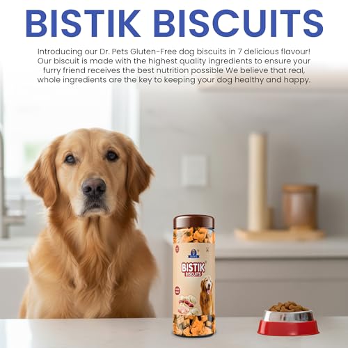 Image of Dr. Pets 450g Bistik Dog Biscuits | Chicken Peanut Flavour | Gluten Free Dog Treats for Puppies & Adult Dogs | Crunchy Daily Snack & Training Reward | Jar Pack