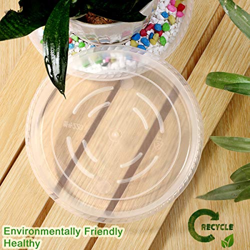 Supking Plant Saucers 6 8 10Inch 6 Packs Durable Clear Plastic Drip Tray Thicker Sturdier Plant Pot Saucers Stronger Flower Pot Tray For Indoors & Outdoors #TOP2