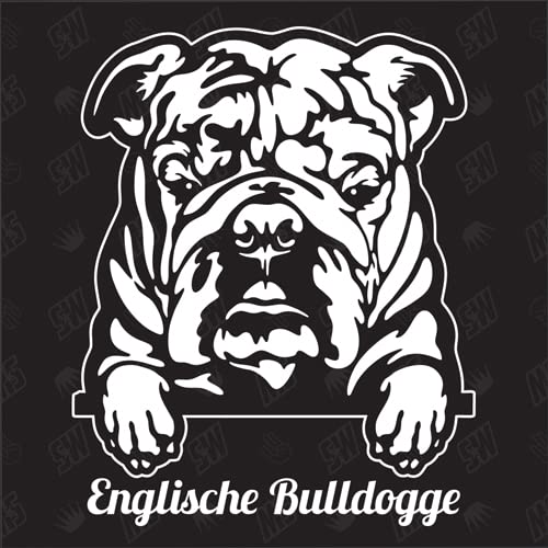 Englische Bulldogge Version 2 - Sticker, Aufkleber, Hundeaufkleber, Autoaufkleber, Hund, Auto, Hunderassen, Mischling, Mix, Tiere, Haustier (AUCH MIT Wunschname MÖGLICH)