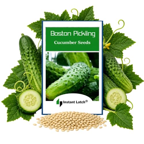 100 Boston Pickling Cucumber Seeds for Planting Non GMO Heirloom Seeds Fresh Vegetable Garden Seed