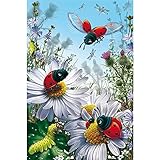 bilder set 20x20 Bildgröße: 30 * 40 cm 40 * 55 cm 50 * 65cm