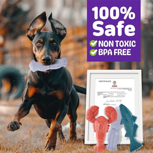 Image of Kimee Dog Toys for Aggressive Chewers, 3 Pack Indestructible Dog Chew Toys | 3 Pack Indestructible Dog Chew Toys, Super Chewer Toys with Tough Nylon Teeth Cleaning & Training, Boredom Relief, Keep Busy