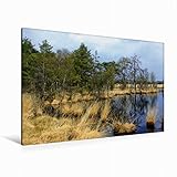 Premium Textil-Leinwand 120 x 80 cm Quer-Format Hochmoor in der Lüneburger Heide | Wandbild, HD-Bild auf Keilrahmen, Fertigbild auf hochwertigem Vlies, Leinwanddruck von Bildarchiv Reupert