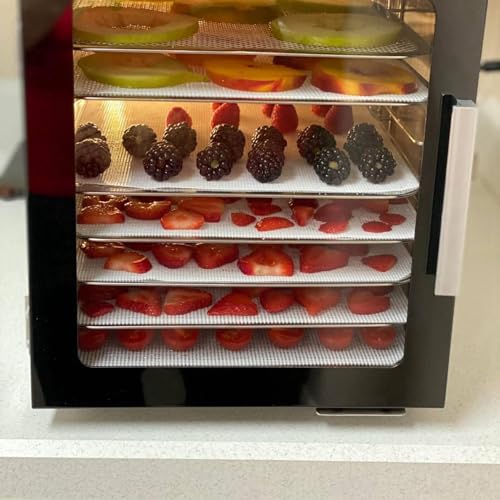 Feuilles de déshydrateur en silicone plateau réutilisable fruits