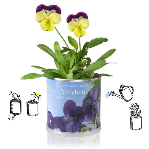 MacFlowers® | Kleines Anzuchtset mit Erdbeeren | Nachhaltiges Geschenkset mit Einer Sorte Samen in süßer instant gardening Blumendose