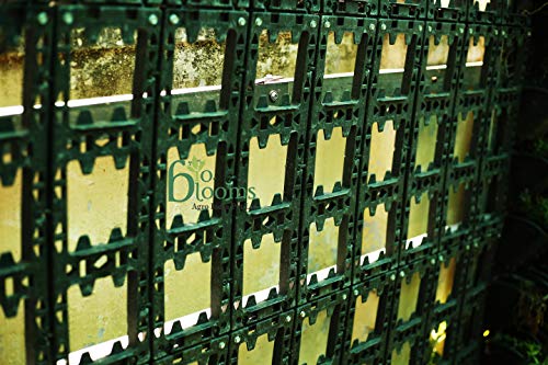 Image of Bio Blooms Agro India Pvt. Ltd. Vertical Wall Hanging Garden Pots | 4 Panels and 12 Flexible | Easy Installation, Drainage Design, Indoor Outdoor Use for Vegetables, Herbs, Flowers M2 Model