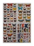 Glanzbilder Schmetterling Butterfly Motiv Set aus 4 verschiedenen Papierbögen zum Basteln und Verzieren Poesiebilder Deko EF SET 4