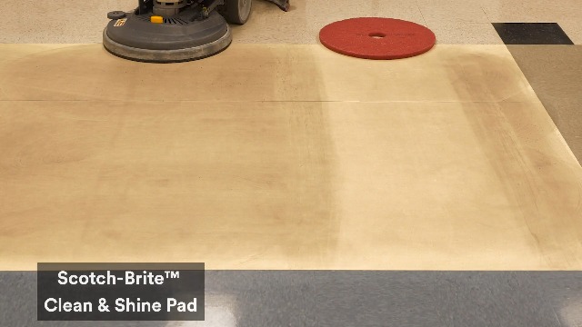 Image of Scotch-Brite CS24 Scotch-BriteClean & Shine Pad, 24 in, 5 /Case