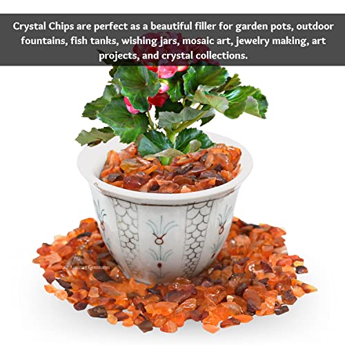 Image of Amazing Gemstone Carnelian Crystal Chips Aquarium Gravel Rocks - Carnelian Chips Bulk Fish Tank Gravel, Small Tumbled Stone Chips, Tiny Crystals for Decoration (Natural AAA Grade) (1000+ Carat Chips)