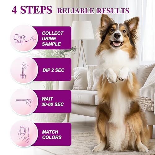 image for Merydi Dog & Cat Urine Test Strips, 4-in-1 Pet Urinalysis Testing Kit 