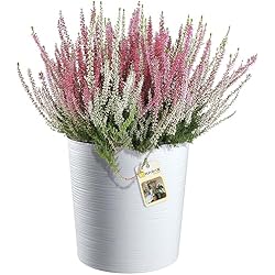 Macetero Blanco Salon KADAX Maceta con virutas de madera, elegante maceta con incrustación, maceta, macetero, macetero, protector de maceta para salón, oficina (30 cm, blanco)