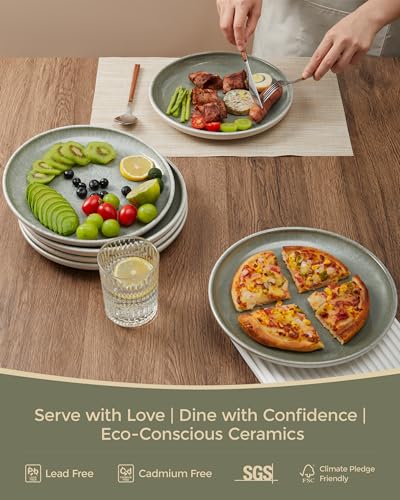 Image of Pokini Ceramic Dinner Plates Set of 6, 10inch Salad, Dessert Plates Dishes | Reactive Glaze Stoneware Dish Set, Dinner Plate for Dessert, Salad, Appetizer, Microwave & Dishwasher Safe, Scratch Resistant