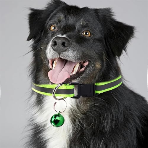 Mini Haustierortungsgerät für Hunde & Katzen, Kompatibel mit iOS & Android mit Reflektierend Halsband, Ortungsgerät Weltweite Standortverfolgung, IP67 Wasserdicht für Hauskatzen und Hunde (Black)
