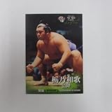 BBM2013大相撲カード/レジェンド-GLORY-■レギュラーカード■38/栃乃和歌/関脇