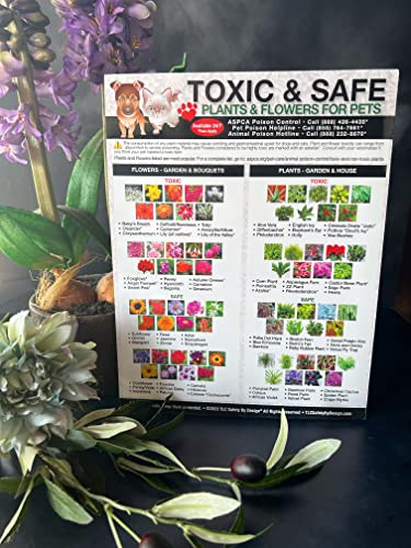 Lista magnética plantas tóxicas para mascotas 8.5x11 pulg miniatura 6