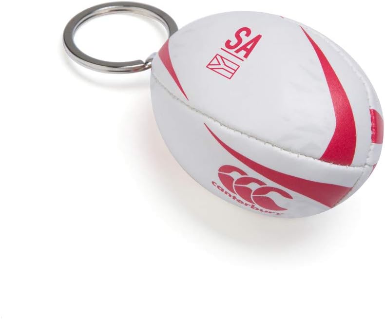Canterbury CCC BILions 2021 Sponsor Keyring