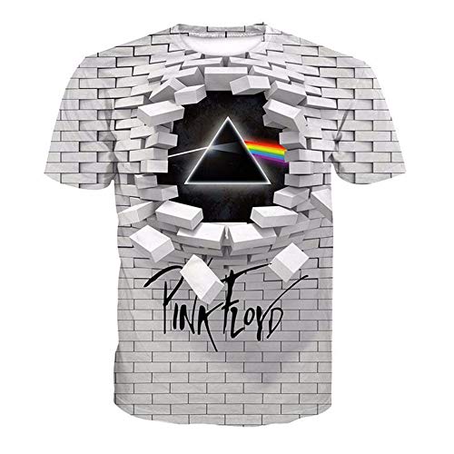 Unisex T-Shirts Creative Wall Pink Floyd 3D Printed Round Neck Loose Short-Sleeved Large Size Shirt XXS-6XL (2XL, 01)