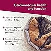 VetriScience-Laboratories-Cardio-Strength-90-Capsules-Supports-Blood-Flow-Immune-System-and-Energy-Levels-for-Dogs-and-Cats VETRISCIENCE - Cardio Strength, Cardiovascular and Circulatory Support Supplement for Dogs and Cats, 90 Capsules