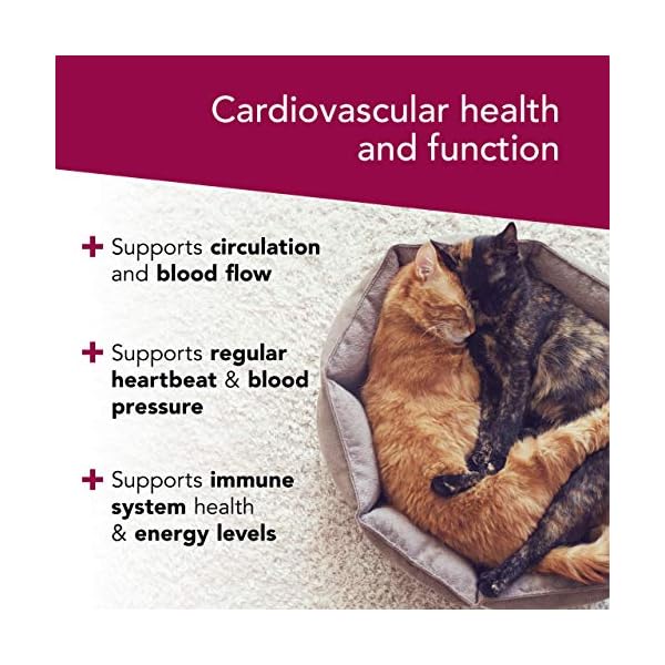 VetriScience-Laboratories-Cardio-Strength-90-Capsules-Supports-Blood-Flow-Immune-System-and-Energy-Levels-for-Dogs-and-Cats VETRISCIENCE - Cardio Strength, Cardiovascular and Circulatory Support Supplement for Dogs and Cats, 90 Capsules