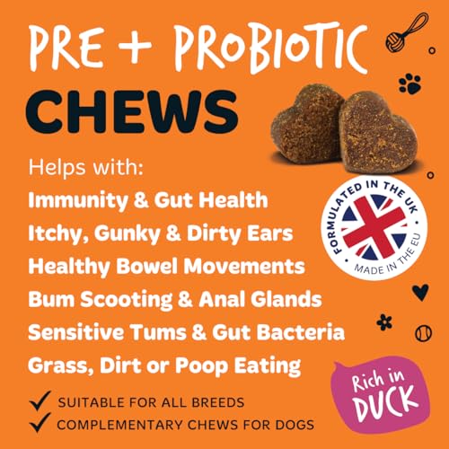Bugalugs Probiotics for Dogs Natural Dog Treats with Pumpkin Powder - Probiotics For Gut Health, Sensitive Tums, Anal Gland, Scooting, Loose Stools, Smelly Itchy Ears Dog Probiotic - Image 5