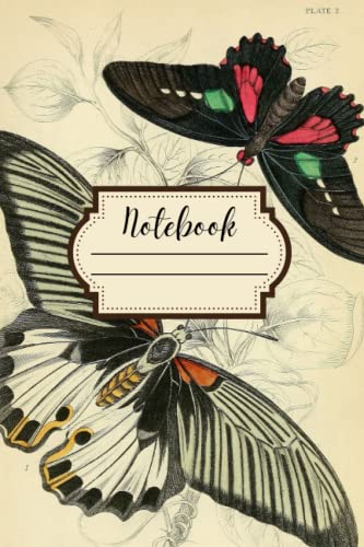 Notebook: Beautiful Vintage Butterfly Illustration Journal. Natural History and Natural Sciences Illustrations image 2