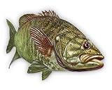 GT Graphics Express Smallmouth Bass - 3' Vinyl Sticker - for Car Laptop I-Pad Phone Helmet Hard Hat...