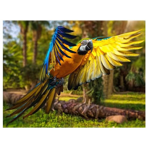 Pintura de diamante 5D de loro, kit completo de manualidades de animales 40x50cm
