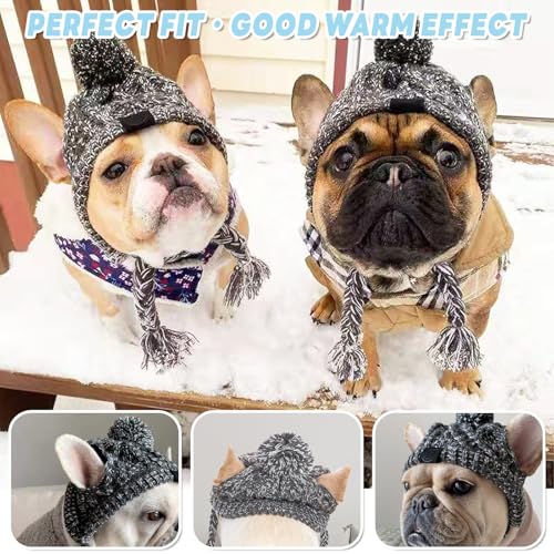 ACTOYS Hundemütze - Wintermütze für Kleine, Mittlere und Große Hunde (S), Französischer Bulldogge