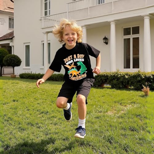 Image of DEEKEY Toddler Boys Shirts Short-Sleeve Little Kids t Shirts Boys' Tops, Tees & Shirts Graphic TEE Age for 2-7 Years 4-Pack