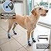 SCENEREAL Dog Socks to Prevent Licking Paws for Hardwood Floors Anti Slip, Dog Grippy Socks Shoes for Senior Small to Large Dogs, Dog Boots & Paw Protectors for Hot/Cold Scratching Pavement